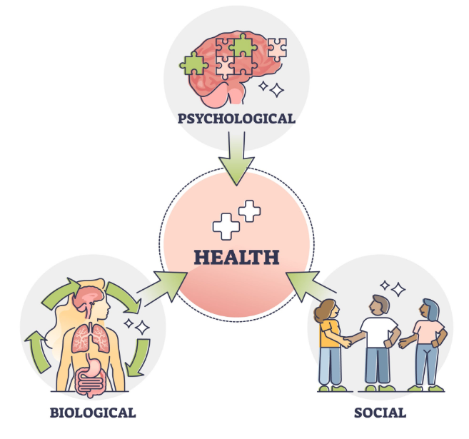 Modèle Biopsychosocial - Trois dimensions (Psychologique, Biologique, Social) convergeant vers la Santé