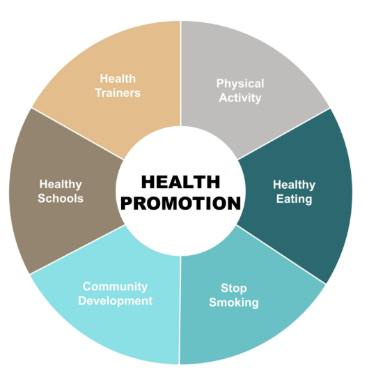 Roue de promotion de la santé